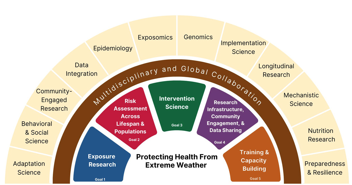 Environmental Factor - December 2025: NIEHS News in Brief