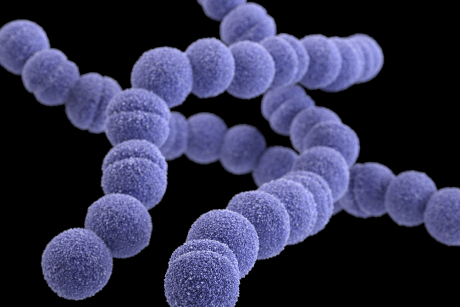 About Group A Strep Infection | Group A Strep
