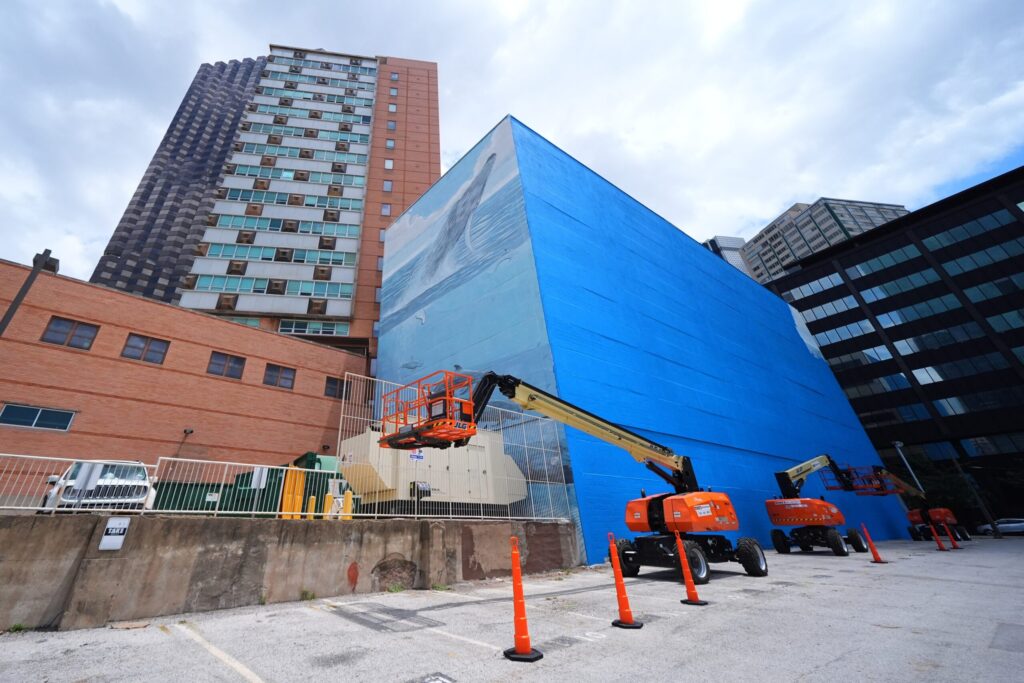 Artist Suing FIFA Over Destruction of Dallas Whale Mural Artist Suing FIFA Over Destruction of Dallas Whale Mural