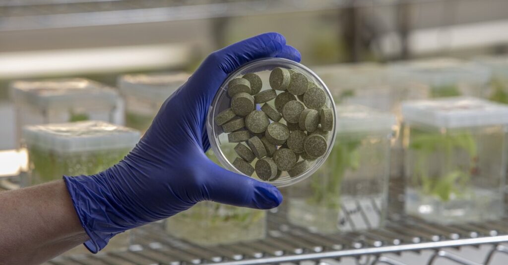 Bioengineered gum may reduce HNSCC microbes