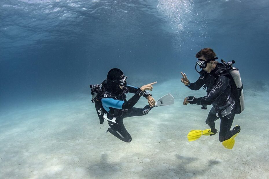 Diver Safety - Divers Alert Network