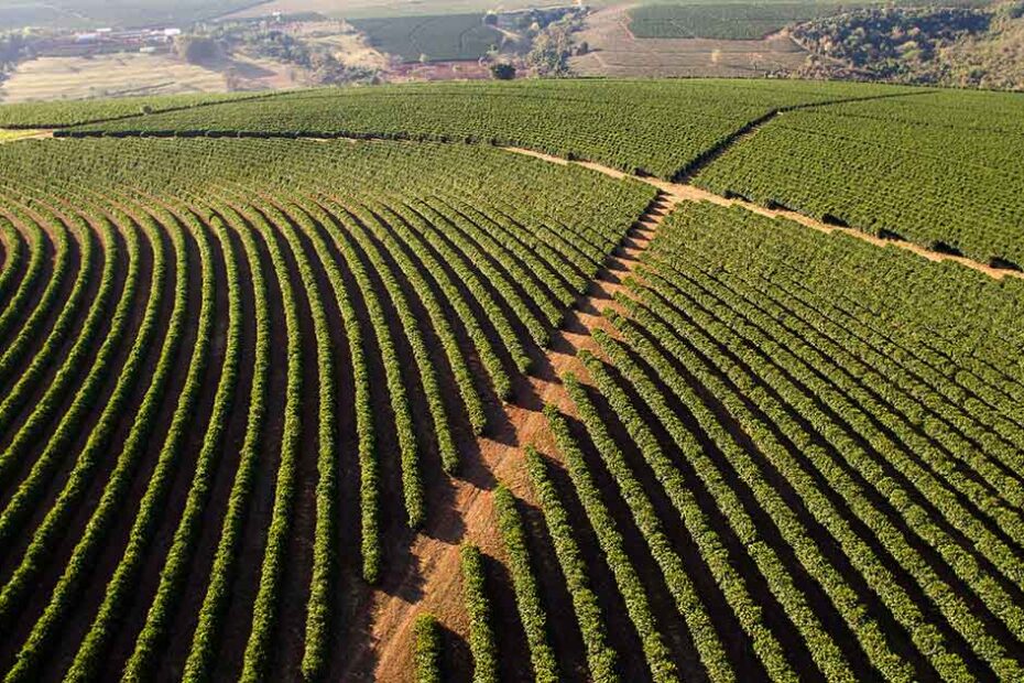 Environmental Factor - December 2024: Brazil coffee worker study examines fungicide effects, tests predictive tools
