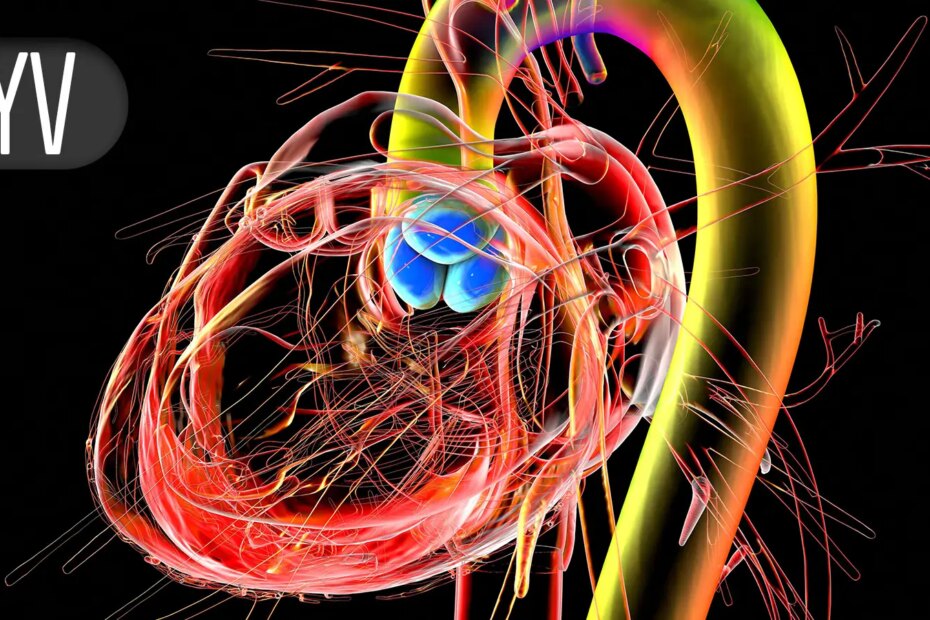 Is the Bar Too Low for Transcatheter Mitral Repair in Real-World Practice?