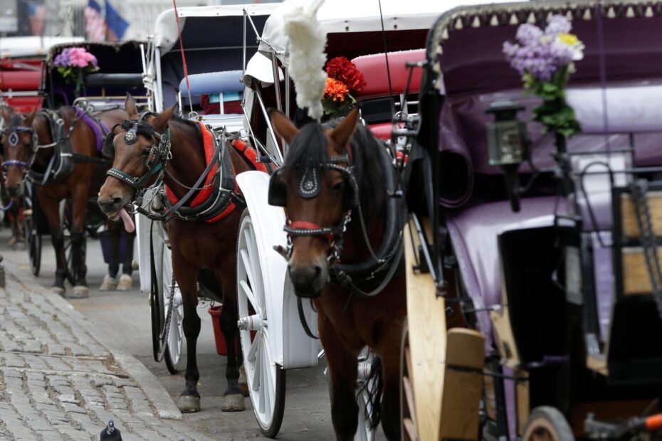 Teen Dies After Being Thrown From Horse-Drawn Carriage in NYC’s Central Park