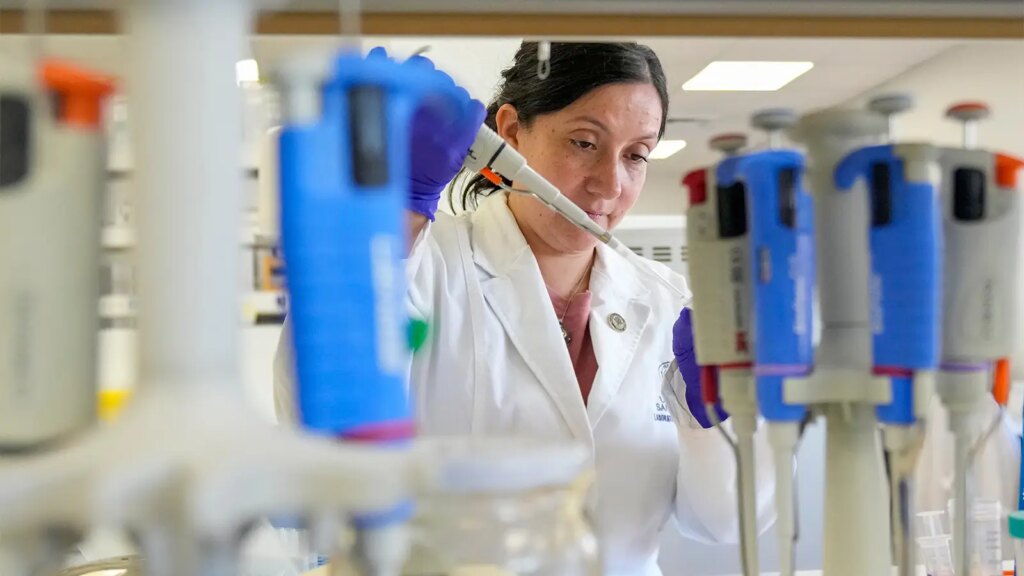 Tools to Fight Hantavirus Show Promise Despite Limited Funding A photo of María Inés Barría, a virologist at the Universidad San Sebastián, working at the university, in Santiago, Chile.