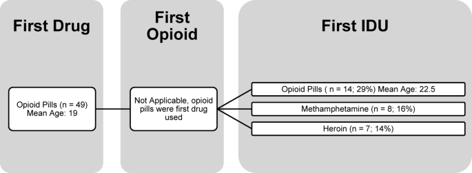 Transitions from first drug use to illicit opioid and injection drug use in a multisite rural U.S. cohort of people who use drugs | Harm Reduction Journal