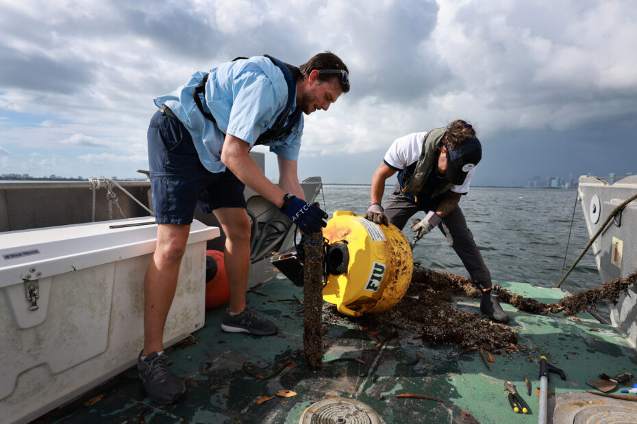 Trump Administration Backtracks on Removing Ocean Sensors