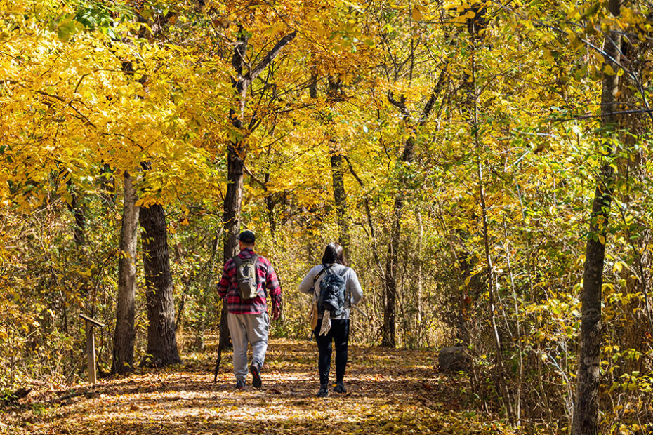 As Alpha-gal Syndrome Spreads, Rural Providers Are on the 'Front Line'