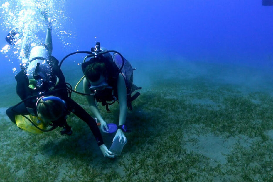 Environmental Factor - April 2024: Grantee shines new light on cause of ciguatera seafood poisoning
