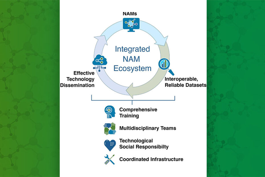 Environmental Factor - March 2024: NIH endorses recommendations on use of non-animal methods