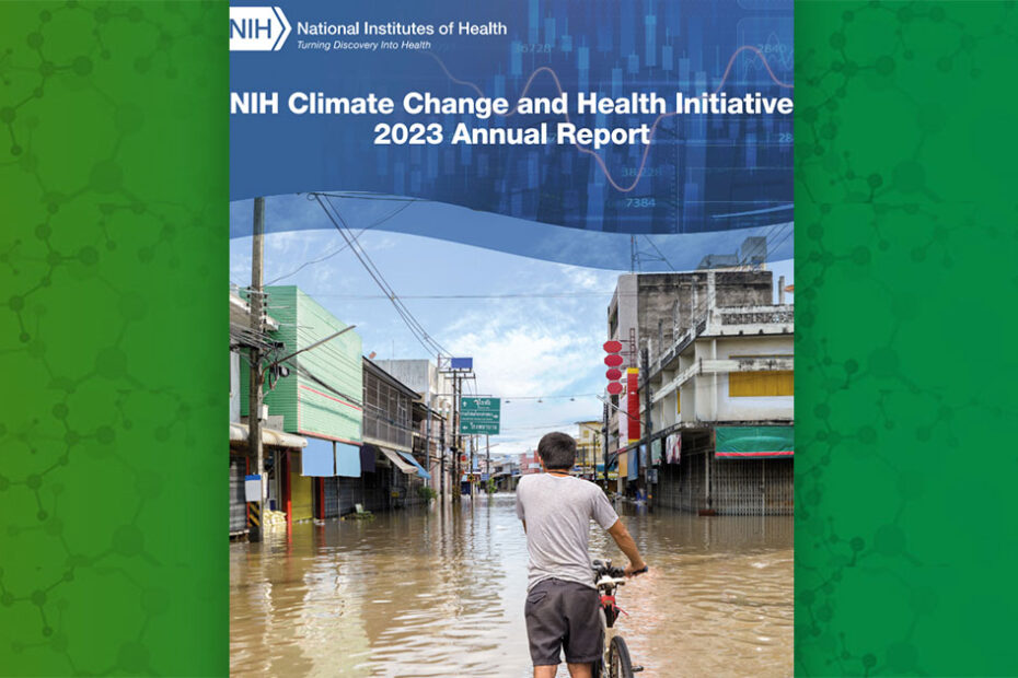Environmental Factor - May 2024: NIEHS News in Brief