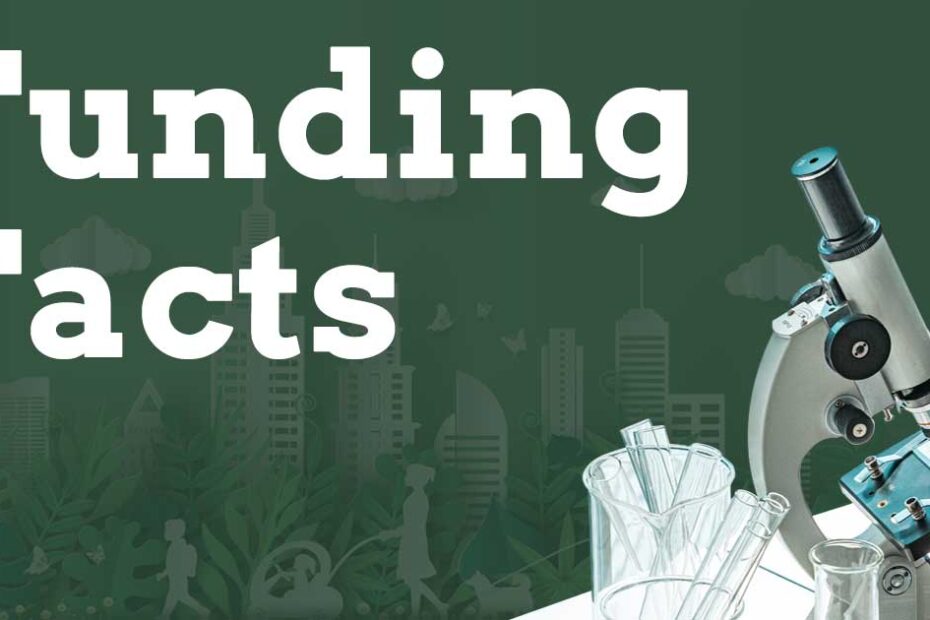 Environmental Factor - September 2024: 5 things to know when applying for outstanding investigator funding