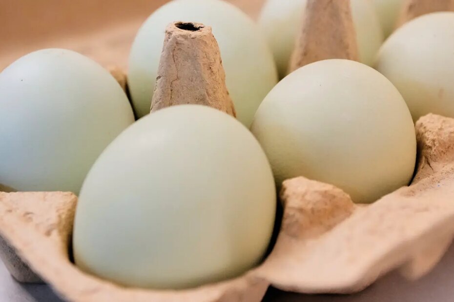 A photo of carton of eggs.