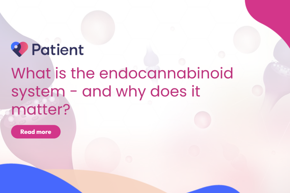 What is the endocannabinoid system