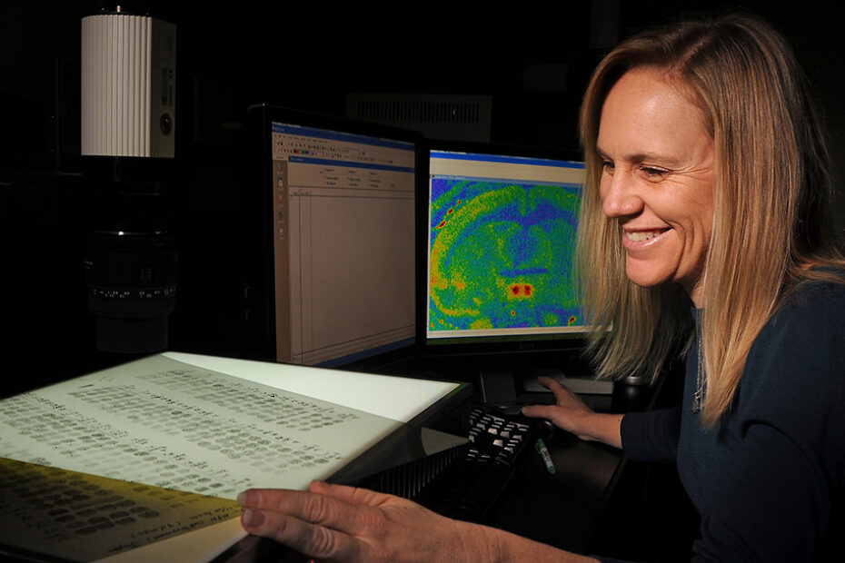 Environmental Factor - January 2024: Heather Patisaul selected to lead Division of Translational Toxicology