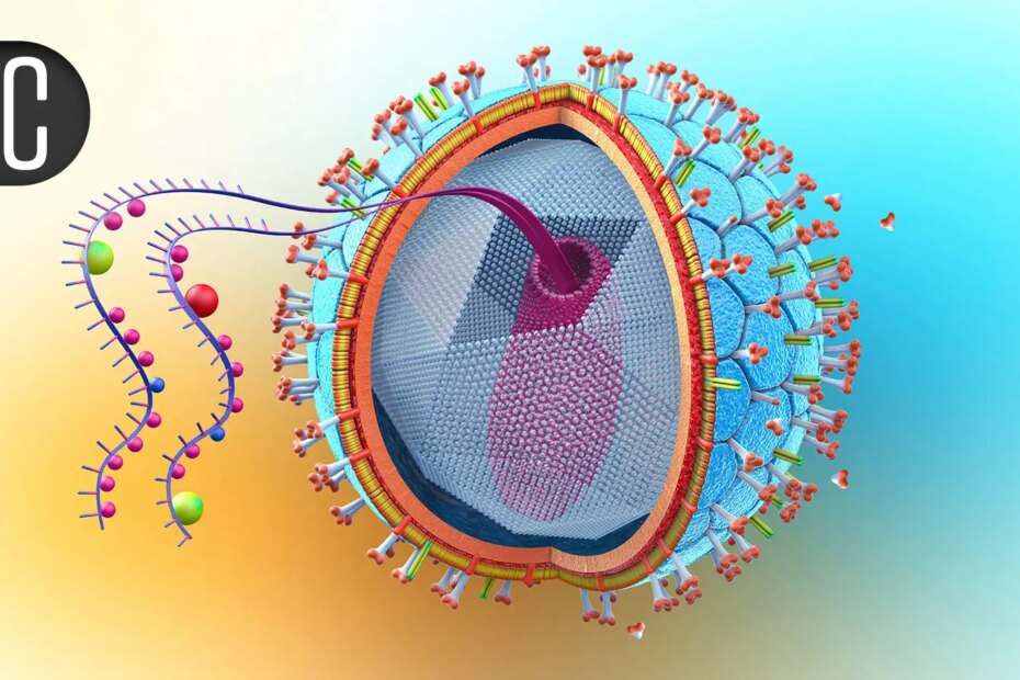 Experts Establish Pillars of Care for Older Adults With HIV