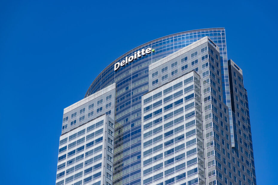 Florida AG Rejects Meta Settlement but Takes $1.2M From Deloitte Over DEI