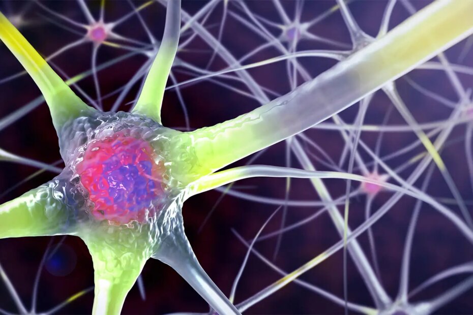 A computer rendering of neurons.
