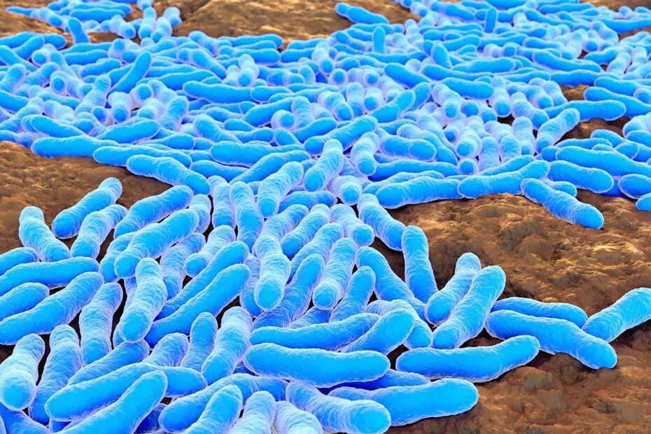A computer rendering of mycobacterium tuberculosis.
