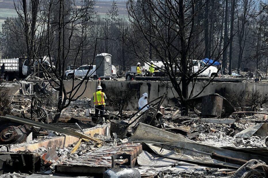 Insured Loss Estimates Top $600M From Washington Fires, Testing New Commissioner