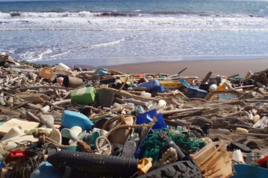 A beach that is almost completely covered in trash and debris.